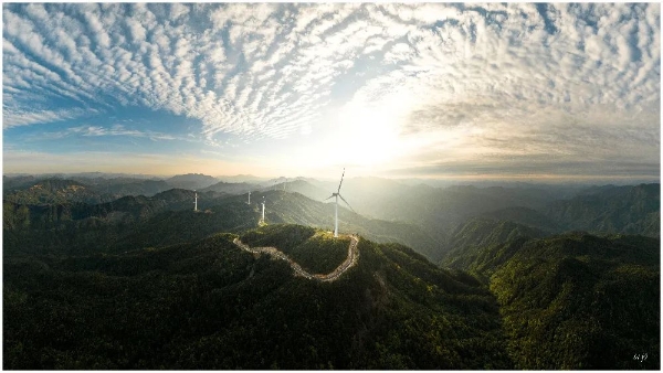 20240322_090146_163.jpeg 20240322_090146_163.jpeg