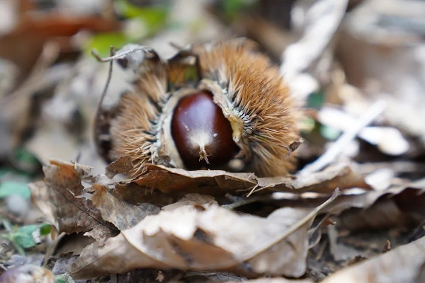 20240322_090146_165.jpeg 20240322_090146_165.jpeg