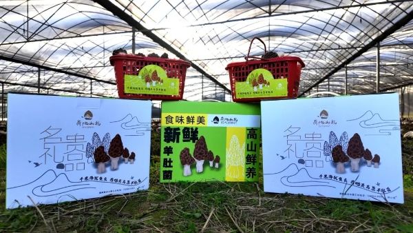 20240322_090146_166.jpeg 20240322_090146_166.jpeg