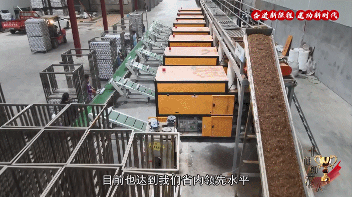 20241202_101015_015.gif 20241202_101015_015.gif