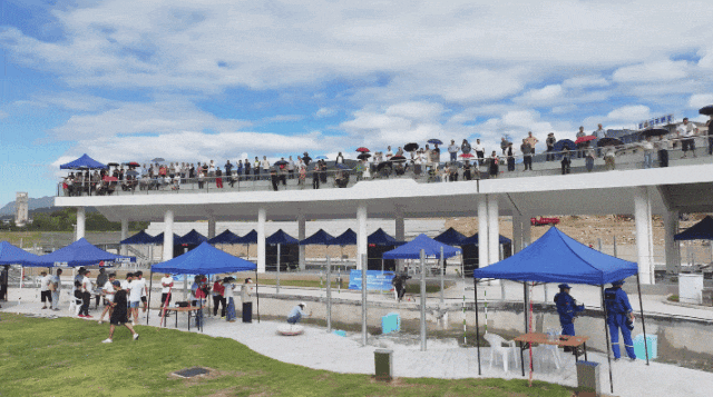 20250930_084714_015.gif 20250930_084714_015.gif