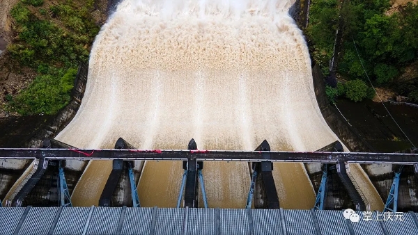 20240415_091929_377.jpg 20240415_091929_377.jpg