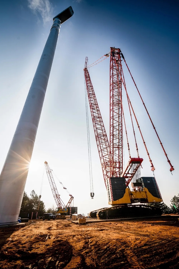 13116653534792.webp.jpg 13116653534792.webp.jpg