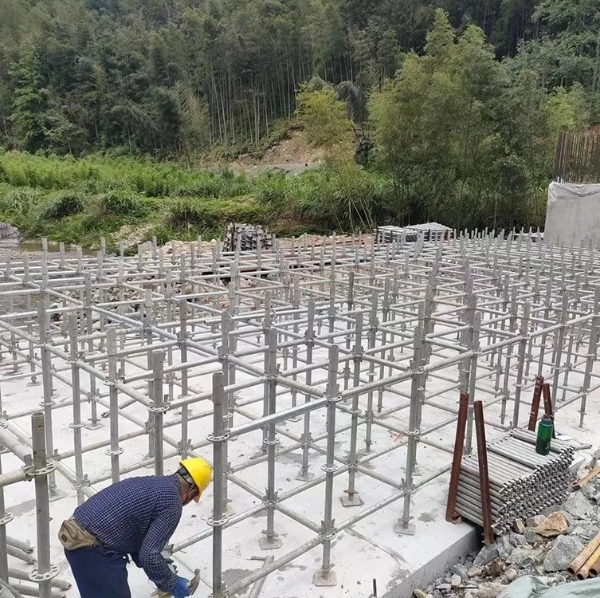 13116653534856.webp.jpg 13116653534856.webp.jpg