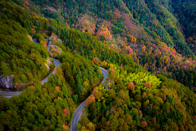 20241125_142839_314.png 20241125_142839_314.png