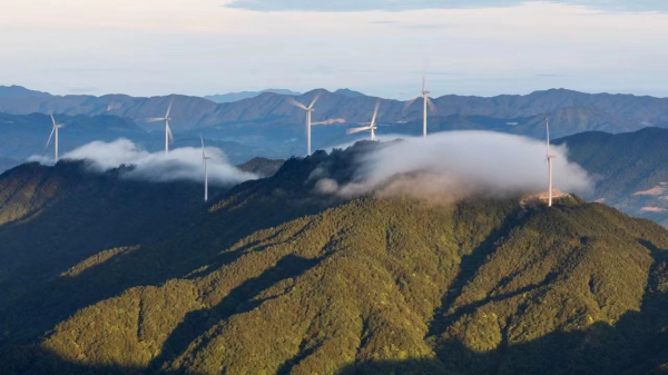 05ce04f2-4631-4df2-930d-d8aaf9c3fa7a.png 05ce04f2-4631-4df2-930d-d8aaf9c3fa7a.png