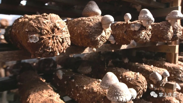 20241202_101015_014.jpg 20241202_101015_014.jpg