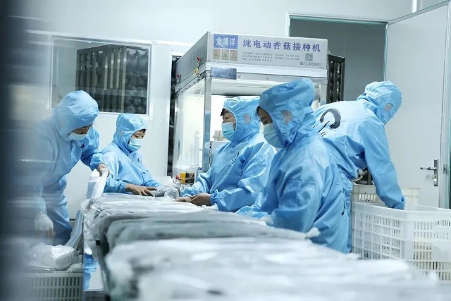 20241202_101015_016.jpeg 20241202_101015_016.jpeg