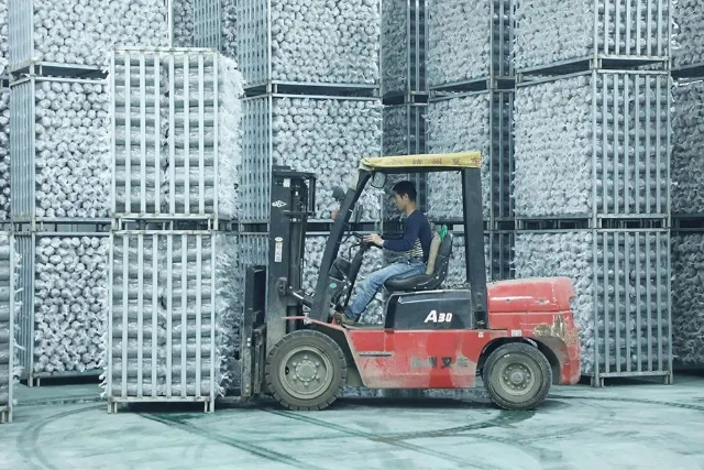 20241202_101015_017.jpeg 20241202_101015_017.jpeg