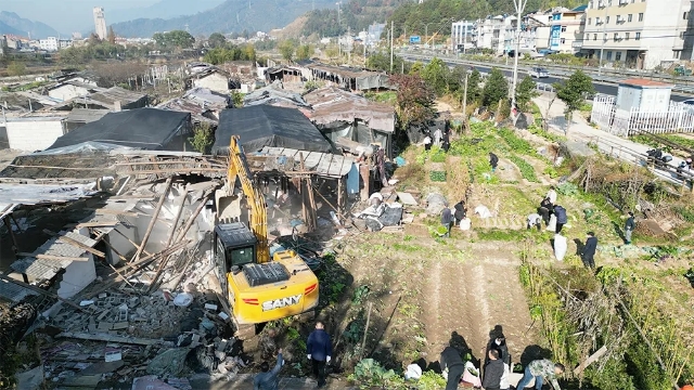 20241217_101408_086.jpg 20241217_101408_086.jpg