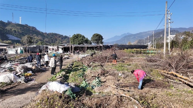 20241217_101408_087.jpg 20241217_101408_087.jpg