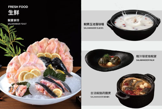 14354323987018.webp.png 14354323987018.webp.png