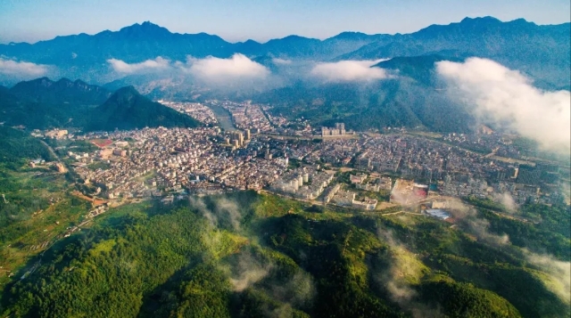 20250208_155653_219.jpg 20250208_155653_219.jpg