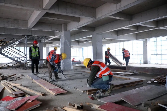 20250221_141039_078.jpeg 20250221_141039_078.jpeg