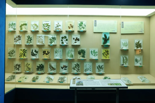 14778190052682.webp.png 14778190052682.webp.png