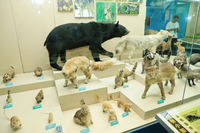 14778190066184.webp.png 14778190066184.webp.png