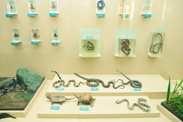 14778190067016.webp.png 14778190067016.webp.png