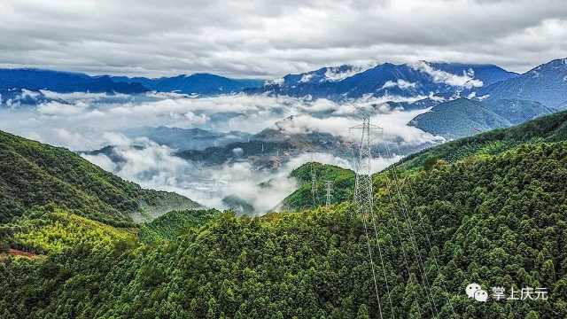 20250414_090451_026.jpeg 20250414_090451_026.jpeg