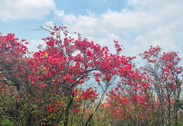 20250508_084941_003.jpg 20250508_084941_003.jpg