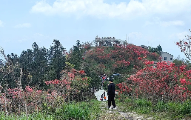 20250508_084941_004.jpg 20250508_084941_004.jpg