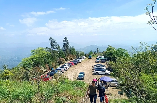 20250508_084941_005.jpg 20250508_084941_005.jpg