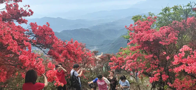 15006696903368.webp.png 15006696903368.webp.png