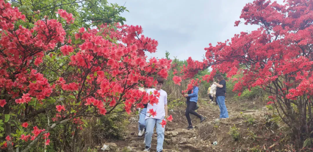 15006696903497.webp.png 15006696903497.webp.png