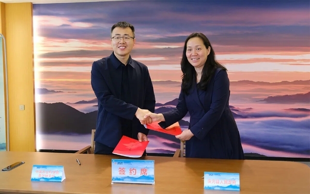 20250512_093011_044.jpg 20250512_093011_044.jpg