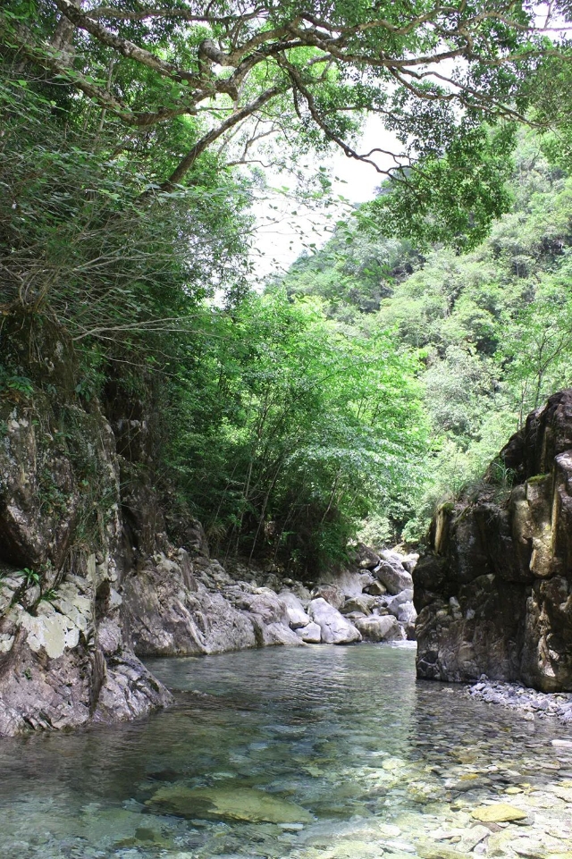 20250526_100500_030.jpeg 20250526_100500_030.jpeg