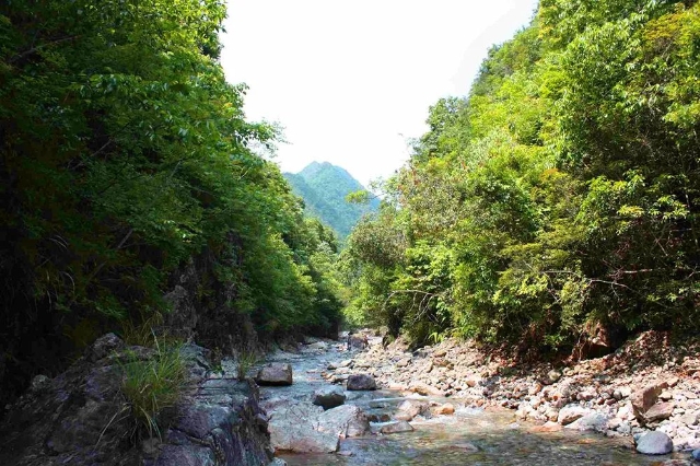 20250526_100500_031.jpeg 20250526_100500_031.jpeg