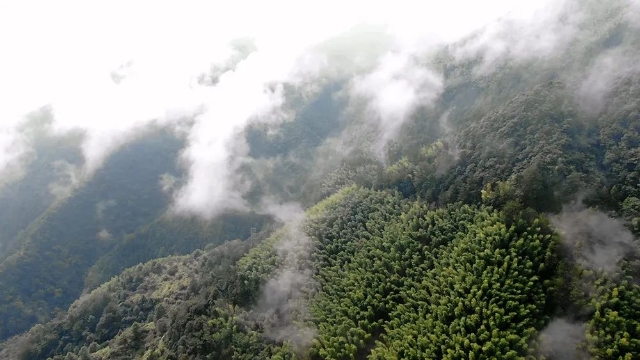 20250526_100500_033.jpeg 20250526_100500_033.jpeg