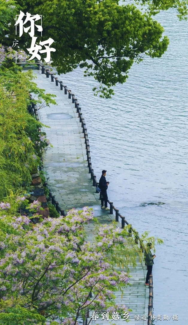 20250630_083941_008.jpg 20250630_083941_008.jpg