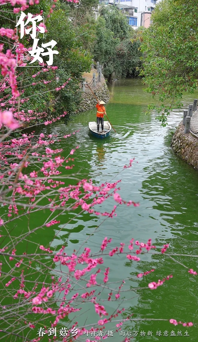 20250630_083941_009.jpg 20250630_083941_009.jpg