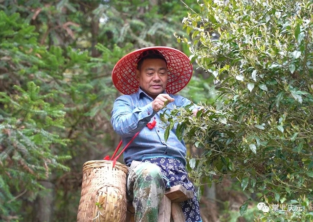 20250822_085529_010.jpg 20250822_085529_010.jpg