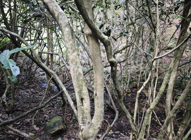 20250930_083954_009.jpg 20250930_083954_009.jpg